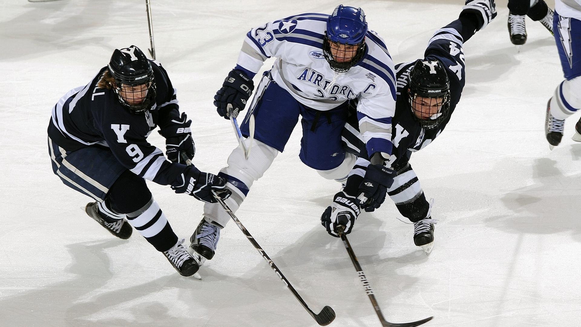 公牛队主场迎战强敌，奋勇拼搏，公牛队官方网站