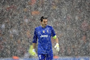 kaiyun体育app-CBA球队强化教练团队配备，cba教练兼球员